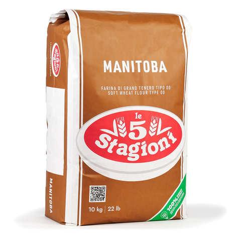 Farine à pizza pro type 00 Manitoba W410 - Sac 10kg