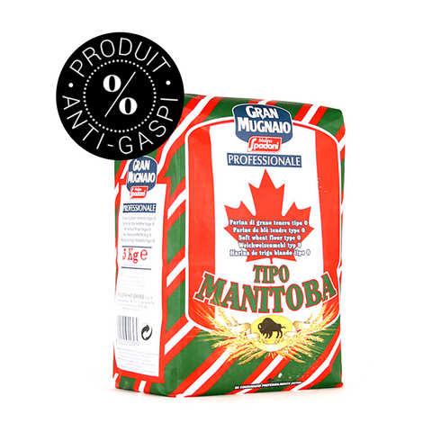 Farine à pizza professionnelle type 0 Manitoba PZ8 W360 - Offre antigaspi DDM 28/05/2025 - Sac de 5kg